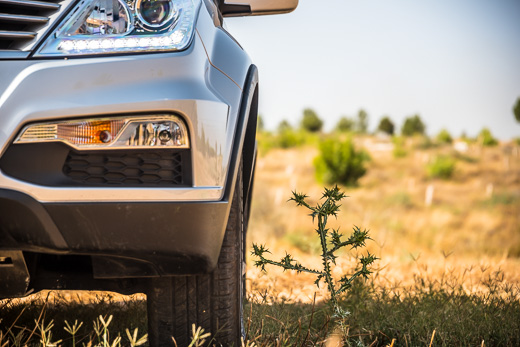 סאנגיונג רקסטון סאנגיונג רקסטון