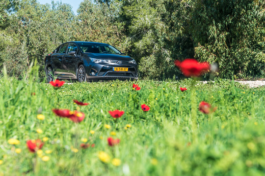טויוטה אוונסיס